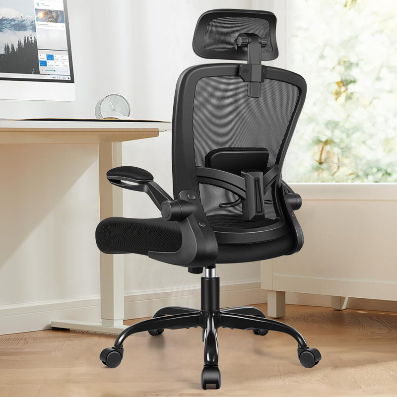 Inbox Zero Everdene Office Ergonomic Task Chair & Reviews | Wayfair